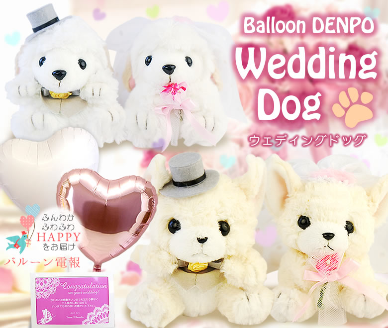 バルーン電報 Wedding
Dog~ウェディングドッグ~