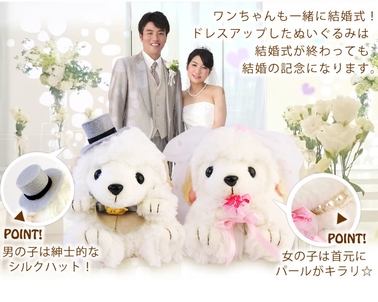 バルーン電報 Wedding
Dog~ウェディングドッグ~