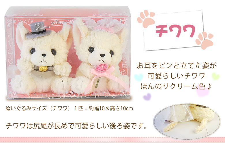 バルーン電報 Wedding
Dog~ウェディングドッグ~