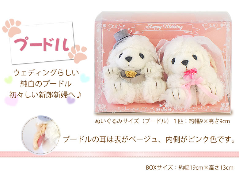 バルーン電報 Wedding
Dog~ウェディングドッグ~