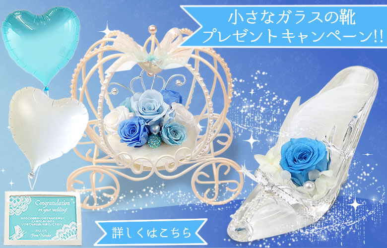今だけミニ靴が付きます