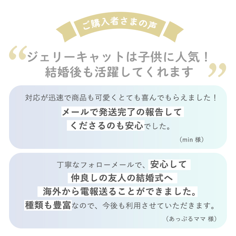 ご購入者様の声