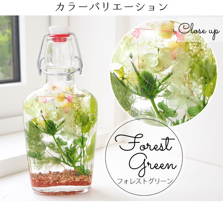 フォレストグリーン