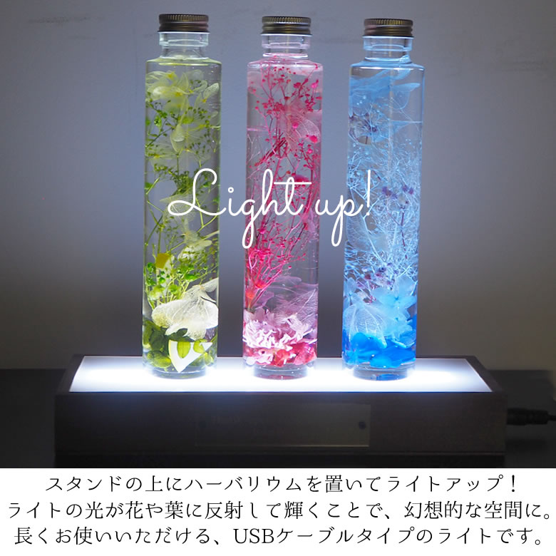 ライトアップ