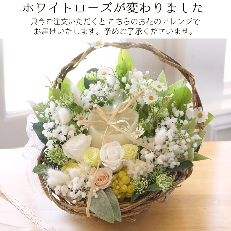 ホワイトローズはこちらでお届け