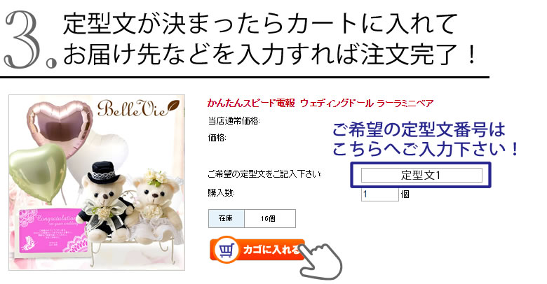 定型文が決まったらカートに入れてご入力♪