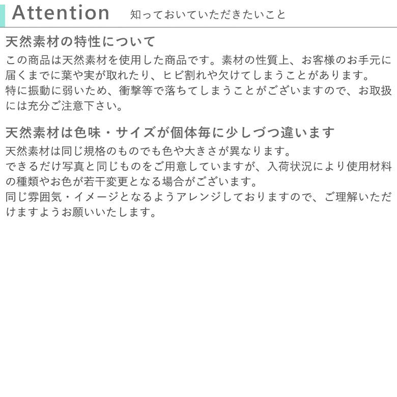 知っておいていただきたいこと