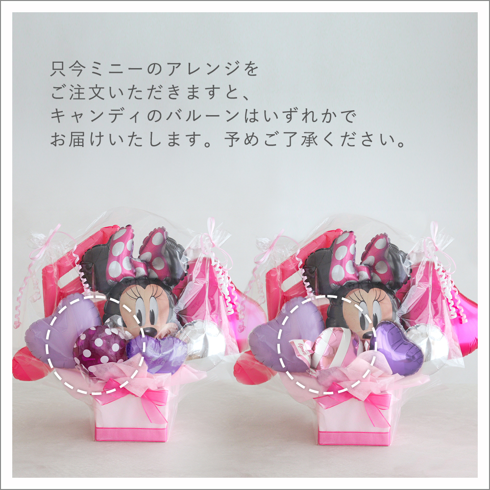 ミニーいまこれ