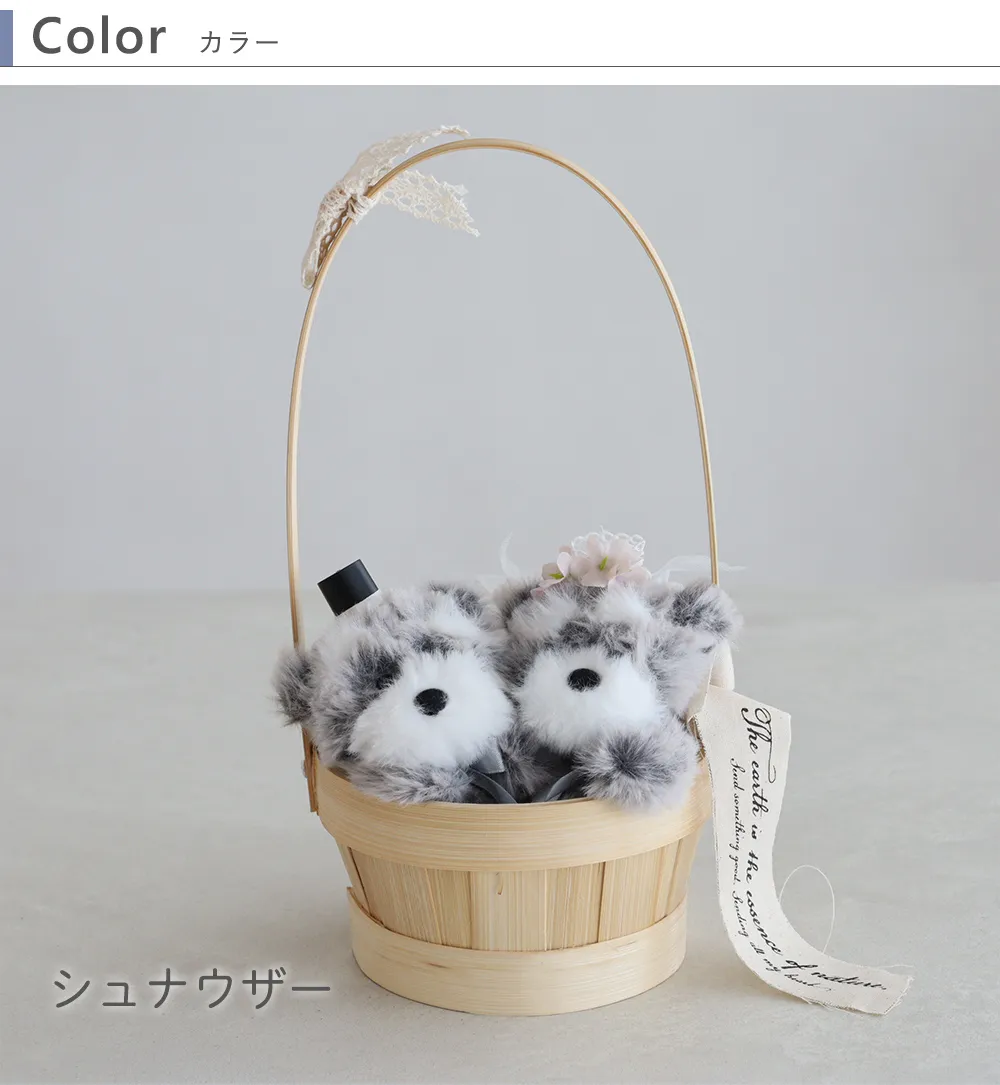 シュナウザー schnauze