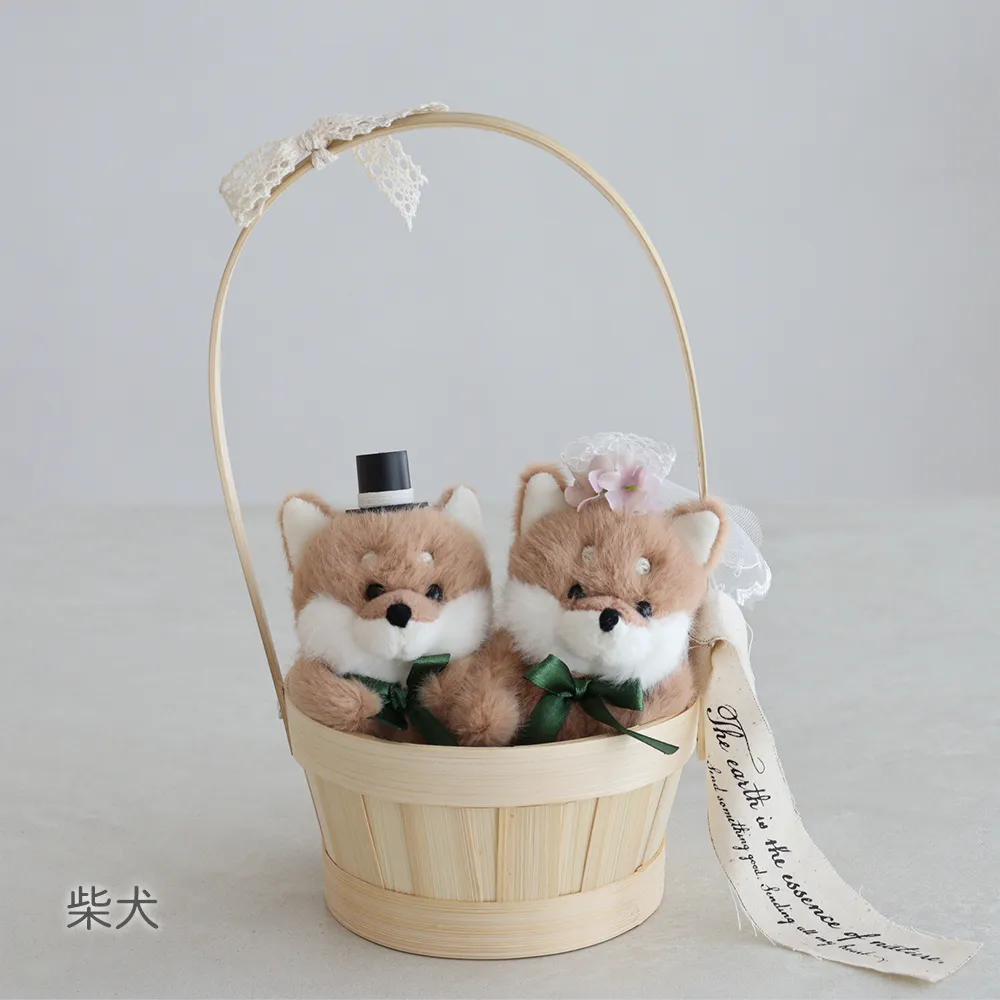 柴犬　shibainu
